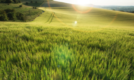 GIFcam动图录制app下载