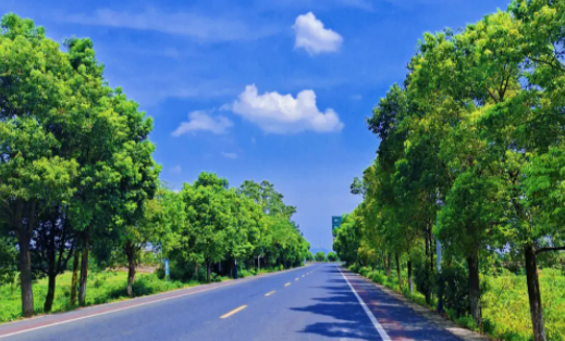 美颜P图相机安卓版下载