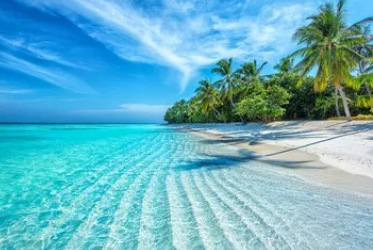 google camera官方版下载(谷歌相机全景) google camera官方版下载(谷歌相机全景)