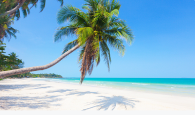 720云vr全景制作app官方版下载2023最新版