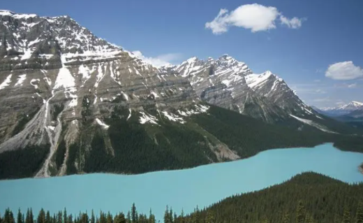 4890乐园锁屏壁纸app下载 4890乐园锁屏壁纸app下载