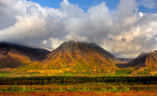 4890乐园锁屏壁纸app下载 4890乐园锁屏壁纸app下载