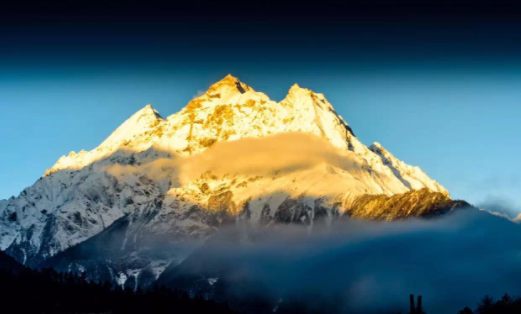 Dazz复古胶片相机app官方版下载 Dazz复古胶片相机app官方版下载