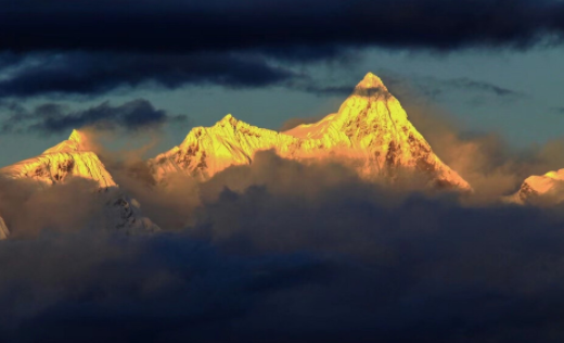 Dazz复古胶片相机app官方版下载 Dazz复古胶片相机app官方版下载