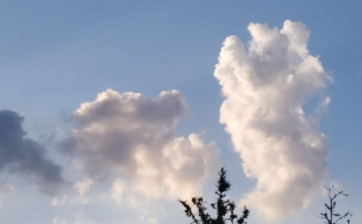 花容相机软件下载最新版2023