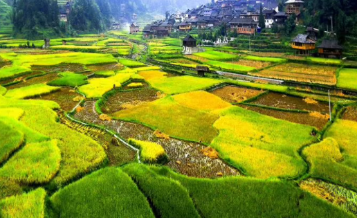 拍照特效相机软件下载手机版