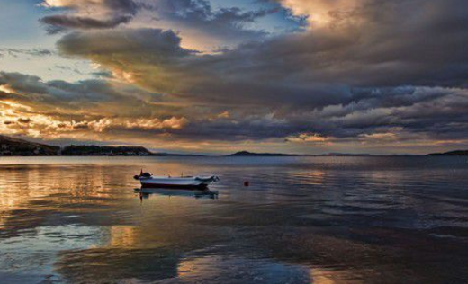 妙丫相机官方下载