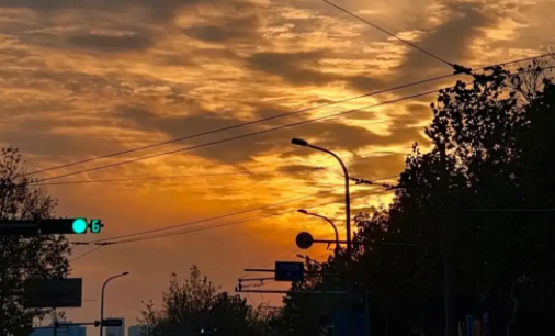 猫印相机app下载安卓版 猫印相机app下载安卓版