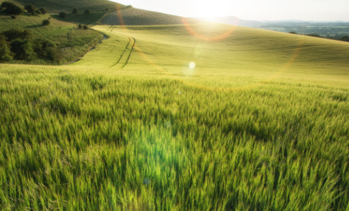 猫印相机app下载安卓版 猫印相机app下载安卓版