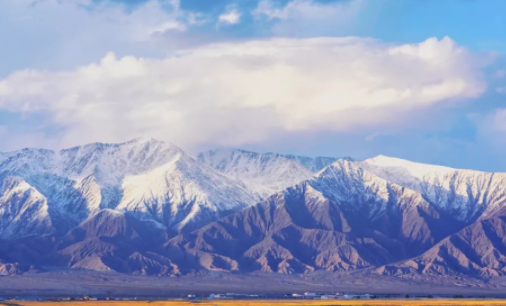 猫印相机app下载安卓版 猫印相机app下载安卓版