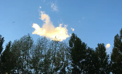 精选免费壁纸图片app下载 精选免费壁纸图片app下载