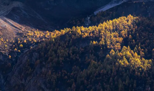 ProKnockout智能抠图app下载