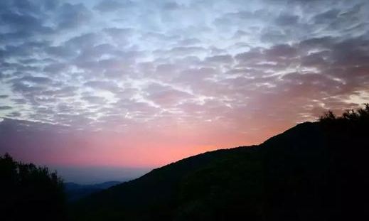 ProKnockout智能抠图p图下载