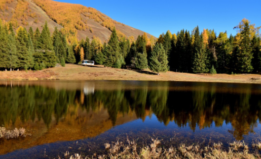 蜜秘相机官方正版下载