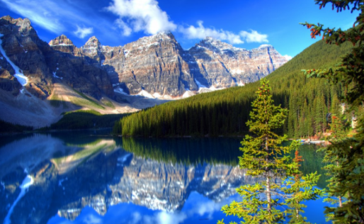 蜜秘相机官方正版下载