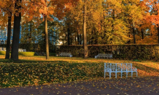 百变小组件DIY下载免费版 百变小组件DIY下载免费版