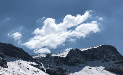 图羊微透明主题壁纸库下载最新版 图羊微透明主题壁纸库下载最新版