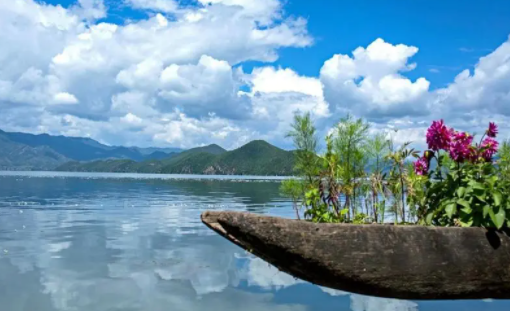 抖抖秀特效软件下载