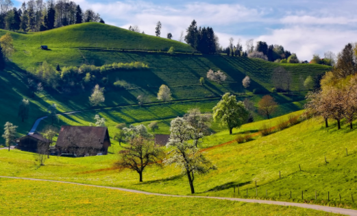 最美背景图官方版下载