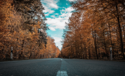 43778壁纸乐园app下载安卓版