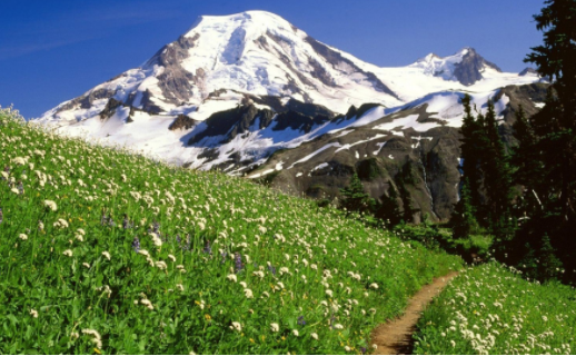 拍照美颜相机软件下载手机版 拍照美颜相机软件下载手机版