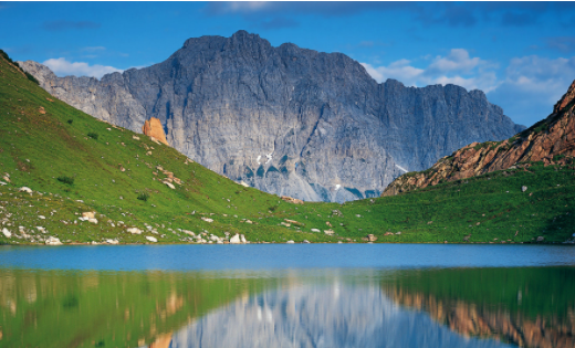 简拼Jane安卓版下载 简拼Jane安卓版下载