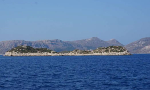 趣觅相机官方下载app