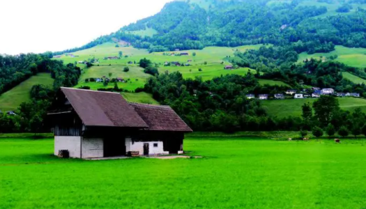 Y看视频剪辑软件下载手机版