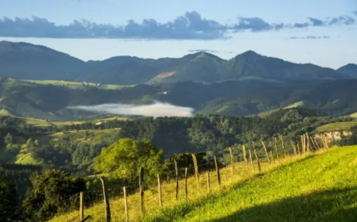 抠图酱app官方下载