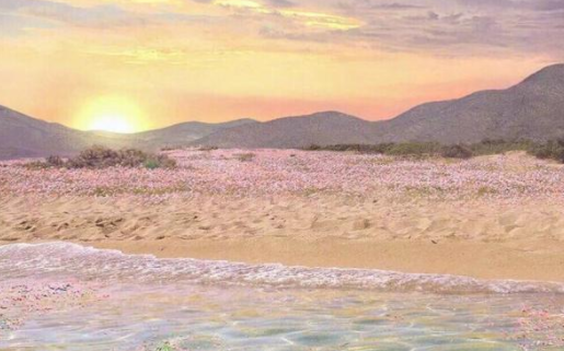 百变写真馆官方正版下载