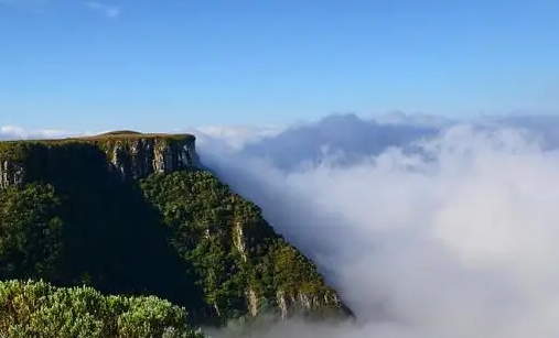 可改水印相机官方下载 可改水印相机官方下载