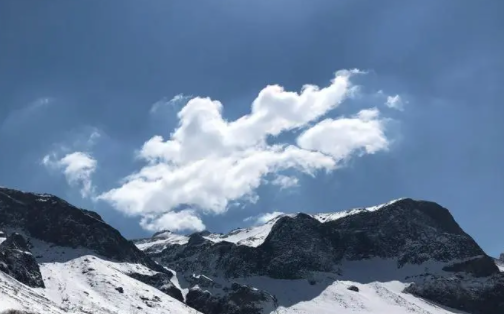 抠图秀秀app下载免费版 抠图秀秀app下载免费版