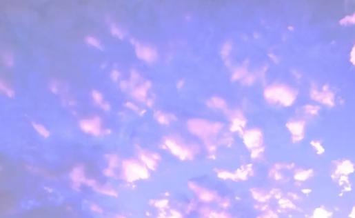 打卡团相机官方正版下载