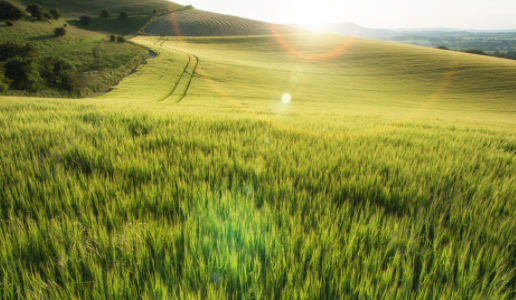 天天特效官方下载安装手机版 天天特效官方下载安装手机版
