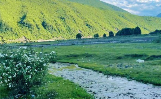 灵动秀官方下载