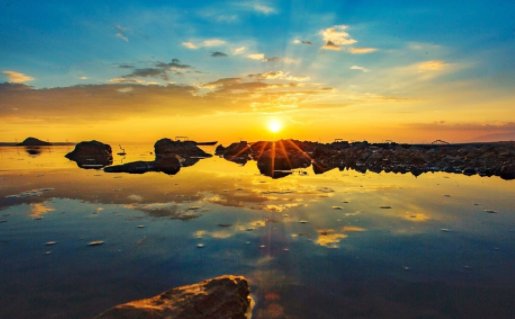 飞映设计官方下载