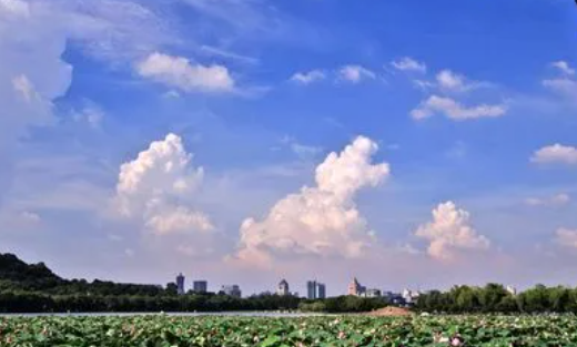 栖遇相机官方正版下载