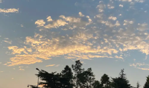 栖遇相机官方正版下载