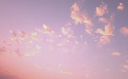 都爱邻壁纸官方正版下载