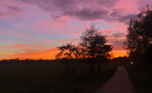 都爱邻壁纸官方正版下载