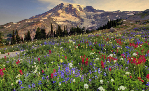 今日实时水印相机官方下载 今日实时水印相机官方下载