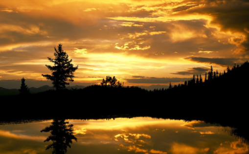 今日拍照水印相机最新版下载 今日拍照水印相机最新版下载