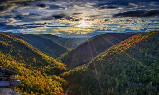 今日拍照水印相机最新版下载 今日拍照水印相机最新版下载
