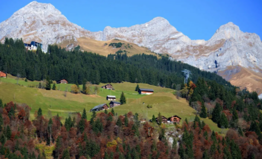 照片之语官方正版下载 照片之语官方正版下载