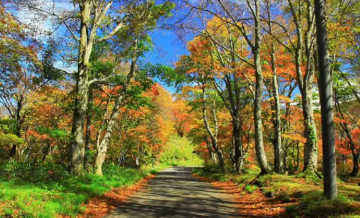 Ten Widgets桌面主题官方正版下载 Ten Widgets桌面主题官方正版下载