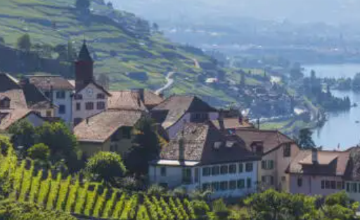 逗图抠图软件下载手机版