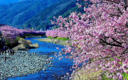 也拙锁屏壁纸APP下载 也拙锁屏壁纸APP下载