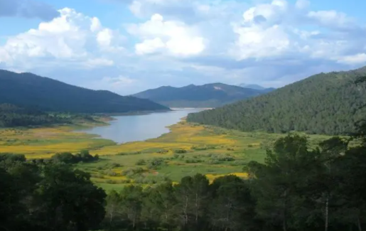 背多纷官方正版下载