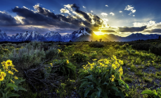 舞力全开剪辑官方正版下载