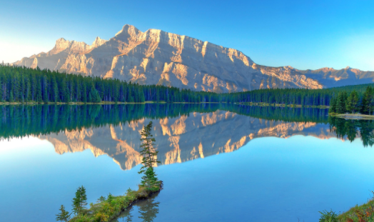 泡福相机官方正版下载